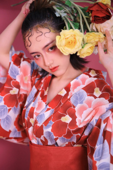 明星专题：刘南希